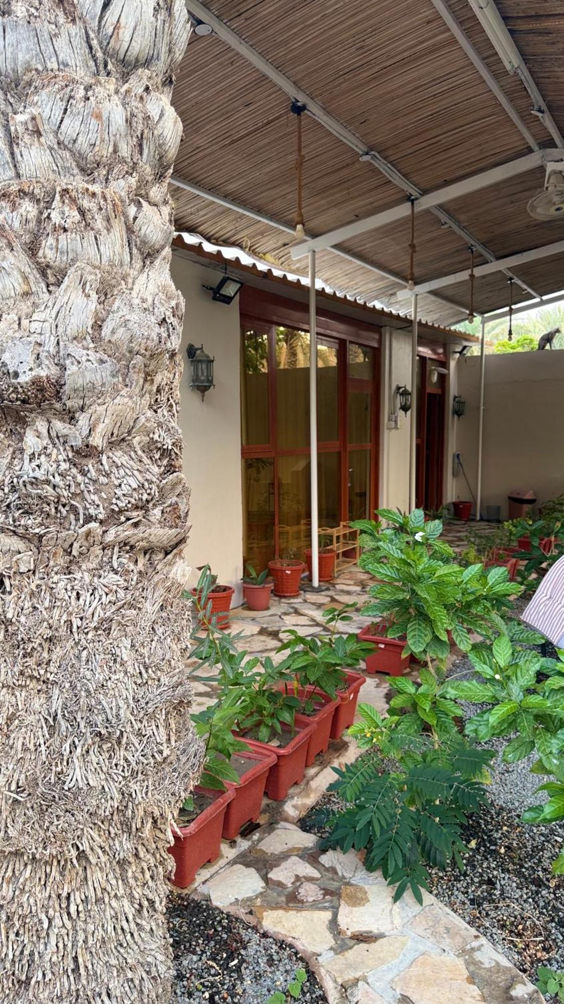 Vila Al- Aqyr Rest Garden أستراحة حارة العقر Nazvá Exteriér fotografie